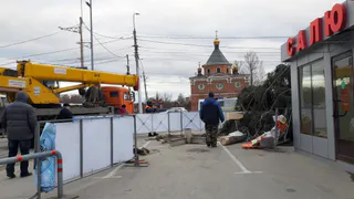 "Предупреждали же о ветре!" - фоторепортаж с места падения елки ТД "Барс"