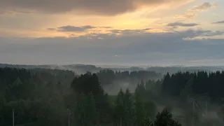 18 августа в Коми ожидаются дожди и туман в отдельных районах