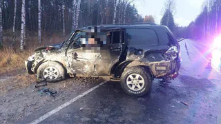 В Рязанской области в жестком ДТП на трассе Р-132 пострадали два человека