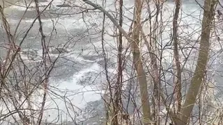 Водоем, образовавшийся из сточных вод от мелькомбината, создает угрозу загрязнения Клязьмы