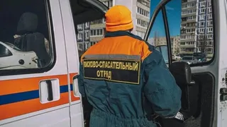 Ковровские спасатели освободили ребёнка из случайно захлопнувшейся машины