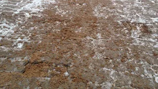 В Пензе в зимний период пескосоляной смесью будут посыпать дорожки на кладбищах города