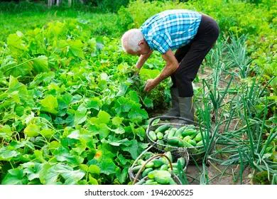 Приметы и запреты на 24 июля: работать, работать и работать…