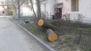 "Повсюду обломки крыши и поваленные деревья" - последствия урагана в Приокском не торопятся ликвидировать