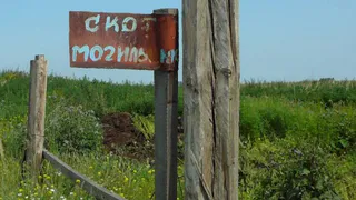 В Суземском районе нашли семь бесхозных скотомогильников