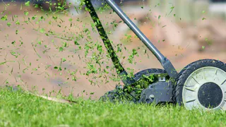 "И зачем так маяться, убери леску с триммера": сосед подсказал, как легко косить траву и не тратиться на дорогую леску