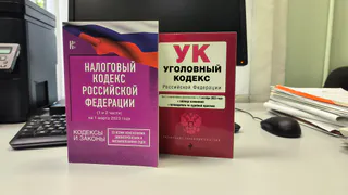 В Муроме раскрыто дело об уклонении от уплаты налогов на 2 миллиарда