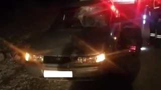 Полиция установила личность погибшего в ДТП под Скопином пешехода