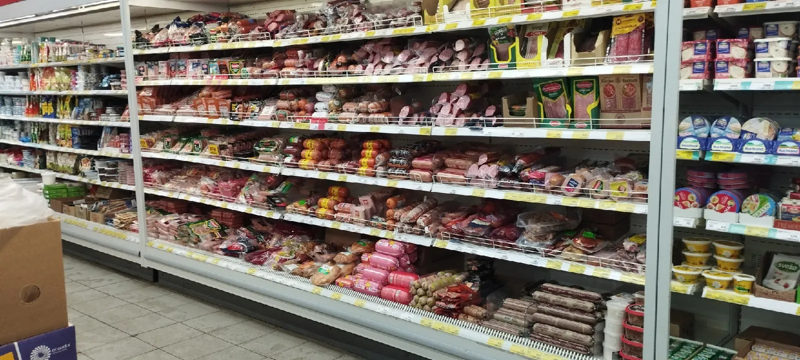 Роскачество назвало "Докторскую": кусочек такой колбасы даже голодная бродячая собака есть не будет