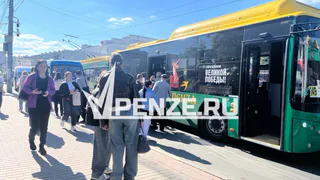 В нескольких автобусах и троллейбусах Пензы обнаружили антисанитарию 