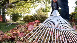 В эти выходные в Рязани пройдет общегородской субботник