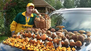 Instagram-подборка: рязанцы, которые сумели найти грибы на этой неделе