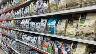 Не травите этим кошек: в Роскачестве назвали худшие марки корма для животных