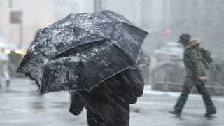 В Рязанской области 6 апреля ожидаются дождь и ветер до 17 м/с