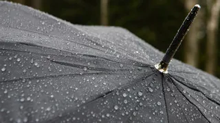 4 мая в Рязани ожидается дождь и +13 градусов