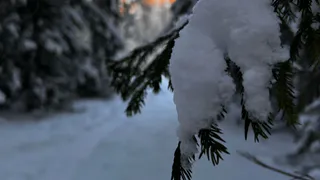 Зима-2025 будет непредсказуемой: синоптики сообщили, к чему стоит уже сейчас готовиться россиянам