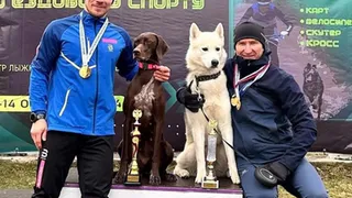 Шесть наград по ездовому спорту получили владимирцы и их чевероногие напарники