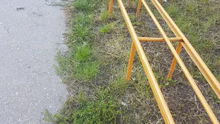 "Баскетбольные кольца будут" - в мэрии прокомментировали ситуацию со спортивной площадкой у школы №1