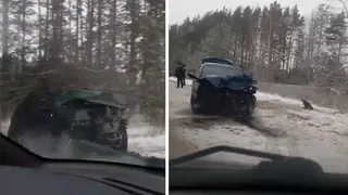 Обломки разметало по дороге: в Клепиковском районе лоб в лоб столкнулись две легковушки