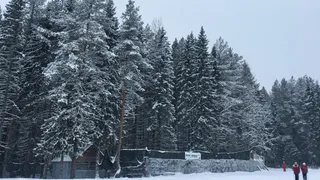 В Челябинскую область придут 27-градусные морозы: синоптики рассказали о погоде на 6 марта 