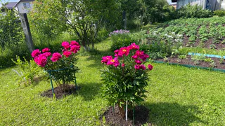 В Чувашии синоптики рассказали о надвигающейся жаре