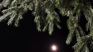 В Чувашии ожидаются самые холодные ночи зимы с похолоданием до 29 градусов