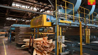 Врио главы Коми обсудил насущные проблемы с работниками фанерного завода