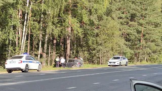 В Рязанской области легковушка "влетела" в дерево