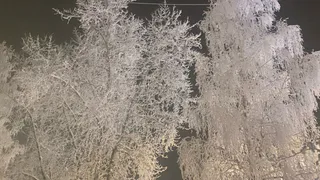 18 января Коми ждёт зимний выходной с легкими морозами и снегом