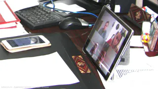 Совещание в горадминистрации: бродячие собаки, пляжи и дожди