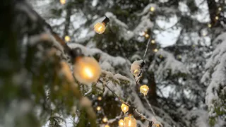 Жители Коми готовятся к рекордным январским каникулам - 2026