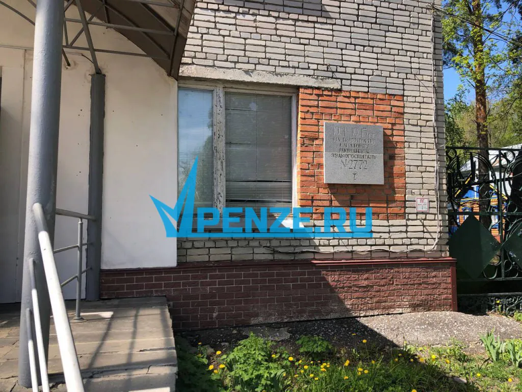 Забытые герои, память и поиски: волонтер краеведения Ирина Баланова рассказала о связи Пензы с Петербургом