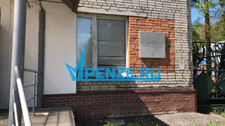 Забытые герои, память и поиски: волонтер краеведения Ирина Баланова рассказала о связи Пензы с Петербургом