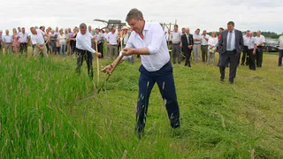 Сильный губернатор и слабая Брянщина