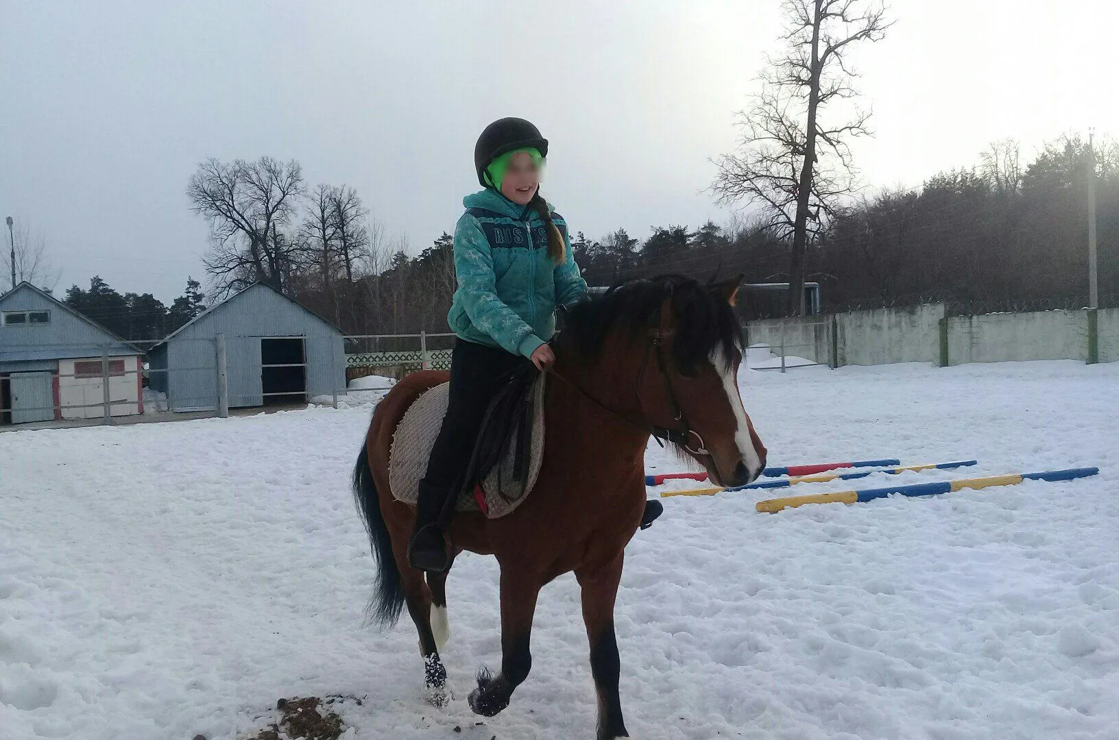 11-летняя школьница из Нижнекамска погибла в результате падения с лошади