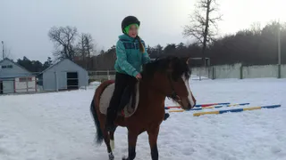 11-летняя школьница из Нижнекамска погибла в результате падения с лошади