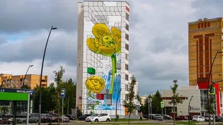 На проспекте Шинников в Нижнекамске появилось четыре мурала