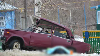 Не заметил неровность: в Чучкове водитель Лады врезался в березу