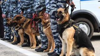 Полиция Магнитогорска пресекает нелегальную трудовую деятельность мигрантов