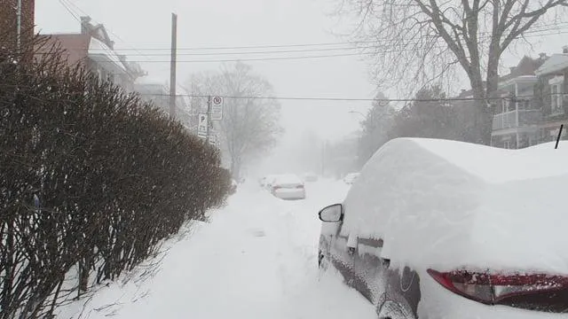 Возвращение блудной зимы: европейская часть страны под ударами стихии