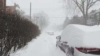 Возвращение блудной зимы: европейская часть страны под ударами стихии