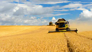 Агрокиберпонедельник: оборудовать ферму можно на 40% дешевле