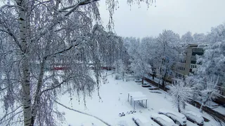 28 ноября в Рязанской области ожидается снег и до +1