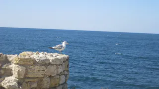 В Рязанской области из воды достали двух утопленников