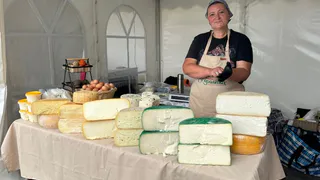 Сыр из Кольчугинского района стал лучшим в стране