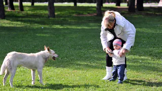 Нижнекамка: «Как приходит в голову выгуливать собак на школьном стадионе?»