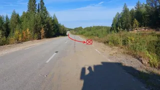 В Коми водитель сбросил машину с девушкой после аварии в кювет и уехал