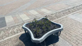 В Рязани с Почтовой улицы на зиму забирают цветочные вазоны