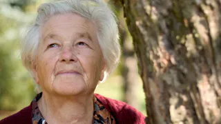 Пенсию поднимут на 30%: необходима одна запись в трудовой книжке