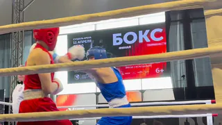 Боксёр из Собинки принёс Владимирской области «бронзу» на первенстве России в Суздале